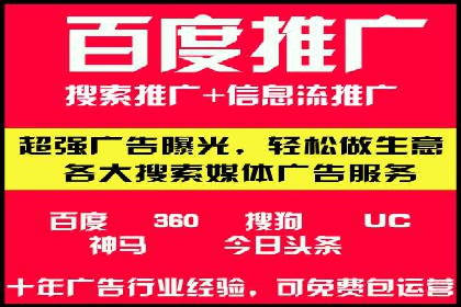 案例解析：揭秘高效竞价推广技巧