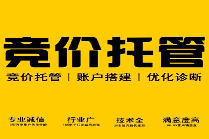 SEM公司广告策略案例：如何实现ROI最大化